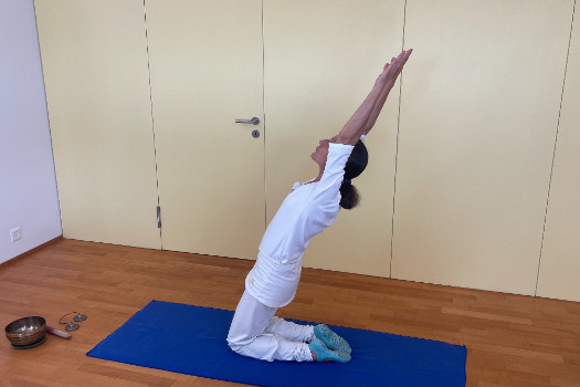 Hatha Yoga Gruppenunterricht in Uster